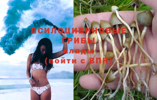 эйфоретик Алексеевка