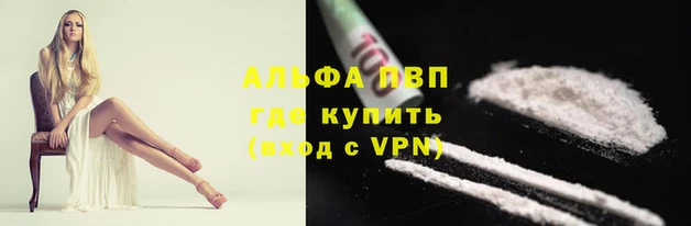 spice Алзамай