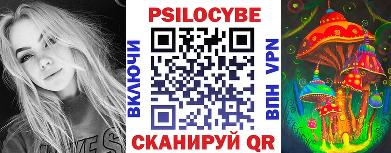 Псилоцибиновые грибы GOLDEN TEACHER OMG онион Егорьевск