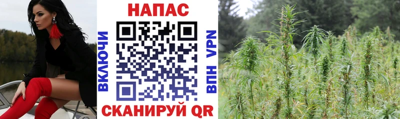 KRAKEN зеркало закладка Егорьевск Конопля Bruce Banner